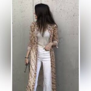 ZARA BUTTON DOWN SEQUINED SHEER DUSTER DRESS